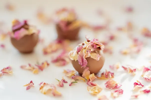 カジノ チリ スピンズ Android/iOS アプリ